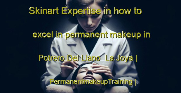 Skinart Expertise in how to excel in permanent makeup in Potrero Del Llano  La Joya | PermanentmakeupTraining | PermanentmakeupClasses | SkinartTraining-Mexico